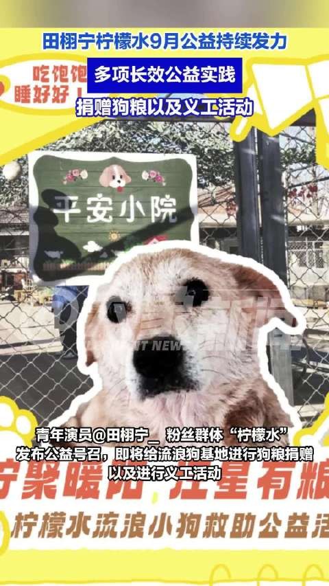 田栩宁柠檬水捐赠狗粮