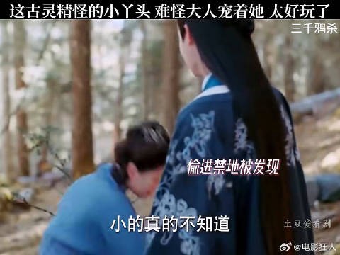这么古灵精怪的小丫头难道大人宠着她