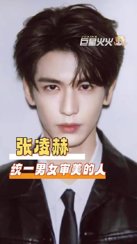 张凌赫 你有这张权威的脸进入内娱