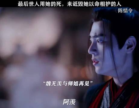 陈情令师姐为护两个弟弟挡剑而死