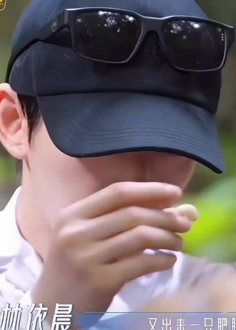 邓为你是真敢吃啊啊啊啊啊！那真的是活虫…..邓为我真的佩服你！