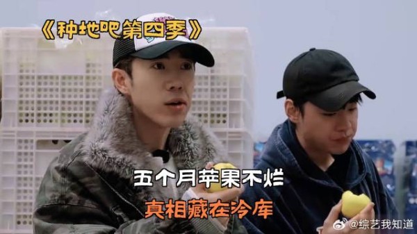五个月苹果不烂，真相藏在冷库