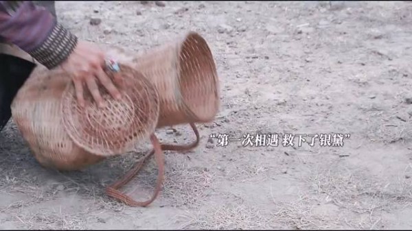 终究是爱而不得 同是一见钟情，救命恩人，却有着不同的对待
