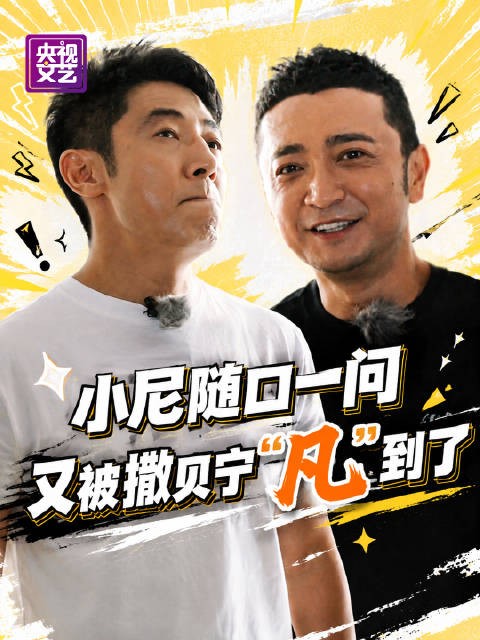 随口一问：“哥，2008年你在干吗？”结果又被撒贝宁 “凡尔赛”到了