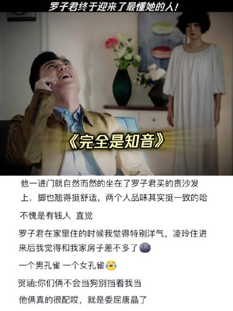 刚看我的前半生时无法理解贺涵为什么要和罗子君在一起