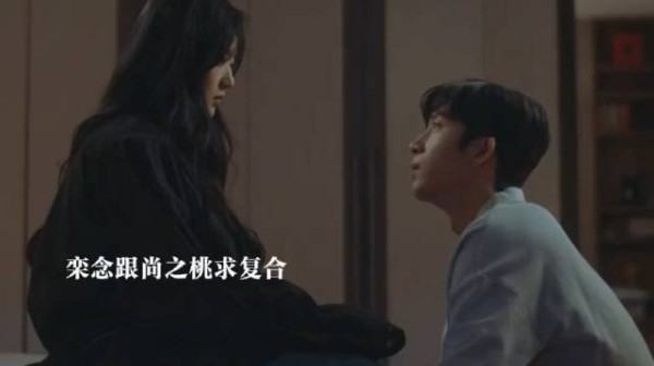 栾念后悔了卑微求复合
