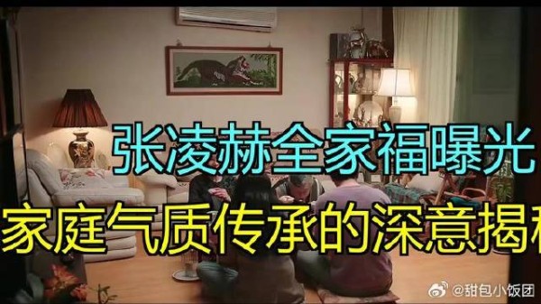 张凌赫全家福背后的故事，隐含了一种家庭气质延续的密码