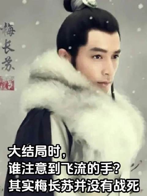 大结局时,谁注意到飞流的手?其实梅长苏并没有战死