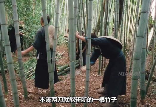 他故意隐藏身份 武侠 动作片 高分电影