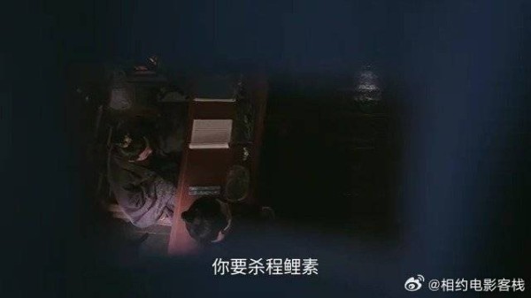 锦月如歌:禾宴担心肖珏安慰,偷听孙知县谈话,哪料因只猫被发现