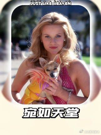 跨越生死界限的宿命邂逅,极致浪漫直戳泪点