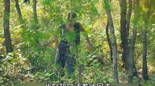 顶级猎手利用机关陷阱让鬼子全军覆没