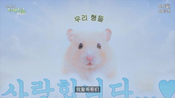 仓鼠老师PPT发表,仁俊哥哥亢奋互动