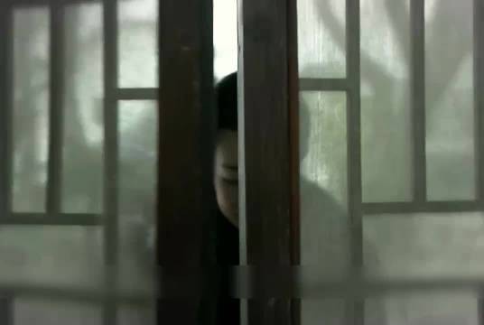 特务只是抓了接头的女人不料因此付出了惨痛的代价