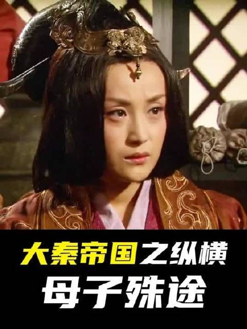 慈母护子 vs 君王立储,大秦最揪心的一段