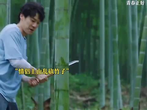 随便砍人竹子还有理了？