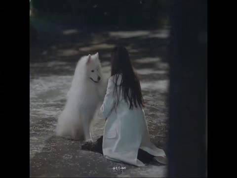 建议改剧名:《早春晴朗之因为一条狗吵了六年架》
