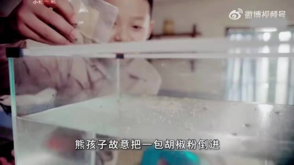 母亲百般溺爱熊孩子,最后酿成大祸