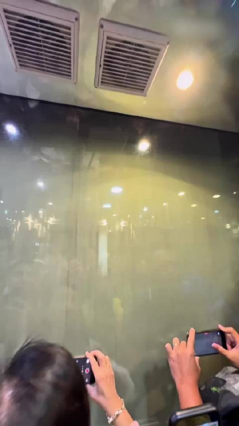 张家界天梯在Ins上火了!外国网友:这不就是潘多拉星球吗?