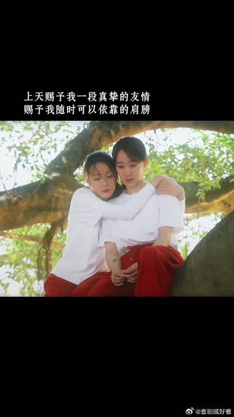 友情是一颗可以庇荫的树