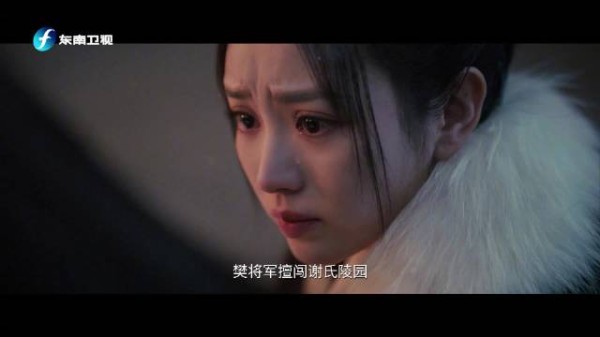浅浅暗中盗取虎符布局