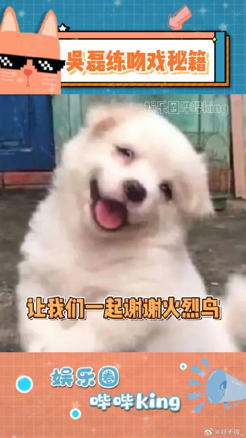 磊子：我有特殊的练吻戏方式~吻戏天花板 微博VC计划