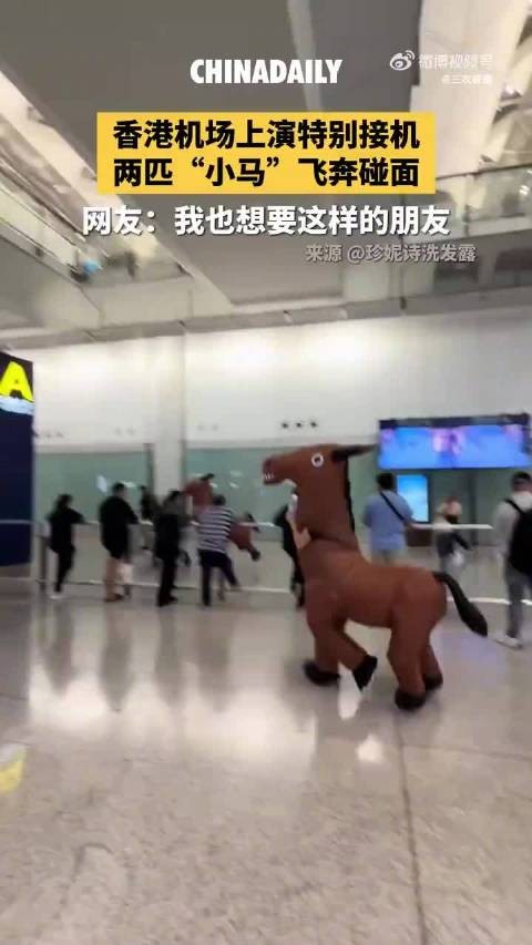 香港机场上演特别接机，两匹“小马”飞奔碰面，网友：我也想要这样的朋友