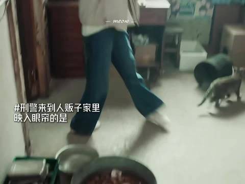 对毛孩子都这么有爱，怎么就是不愿意分给孩子们一点呢
