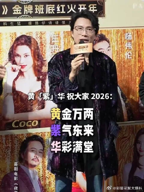 黄子华穿紫色就等于黄紫华？