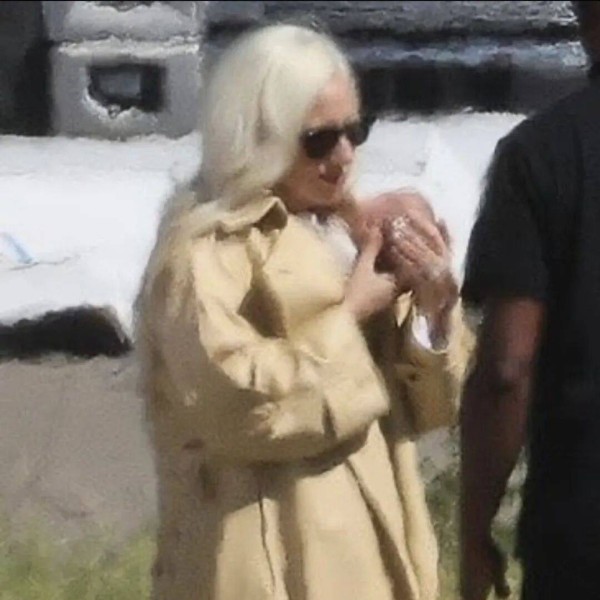 Lady Gaga 据说三个月前就生了!