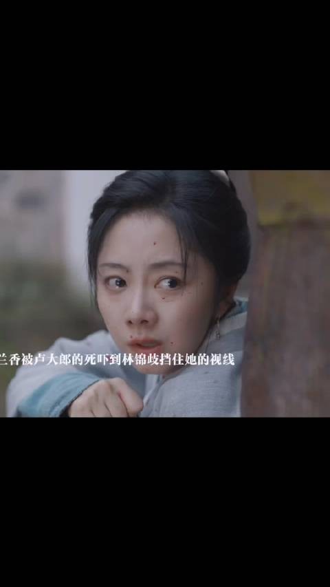 卢大郎挟持兰香威胁林锦歧，兰香刺伤卢大郎自救