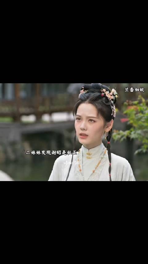 二妹妹发现一直喜欢的谢昭居然是杜正,林锦岐慢慢的被兰香吸