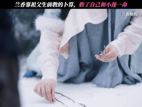 难怪有故人之姿，原来是故人之子 兰香如故