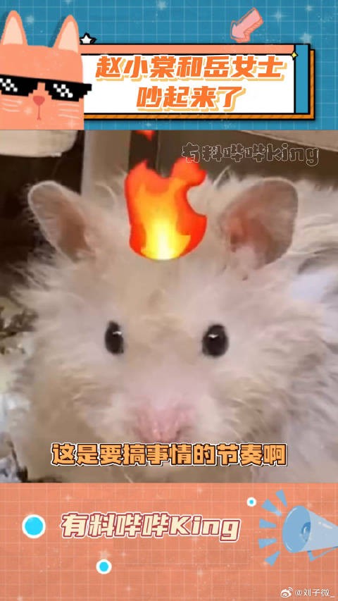 这是发生什么了啊岳彩晶 微博VC计划