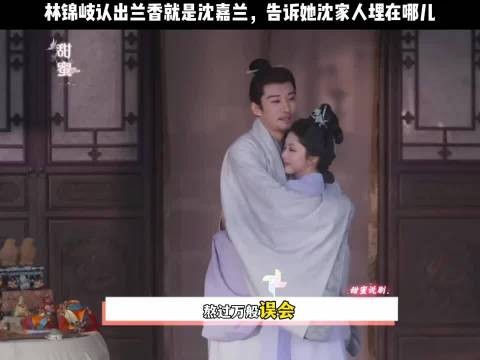 她苦苦寻找的沈家恩人,竟是她恨了许久的林锦岐…