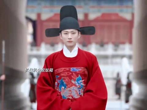 兰香带着一家三口脱籍,还找了个未婚夫,林大爷慌了强娶兰香为妻