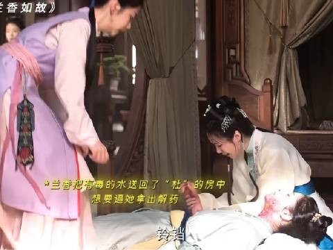 许兰香查案揪出真凶，杜某决绝设局陷害