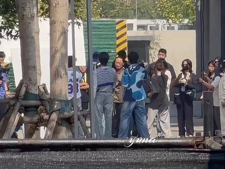 萌萌猪登场,功夫小子闪亮驾到