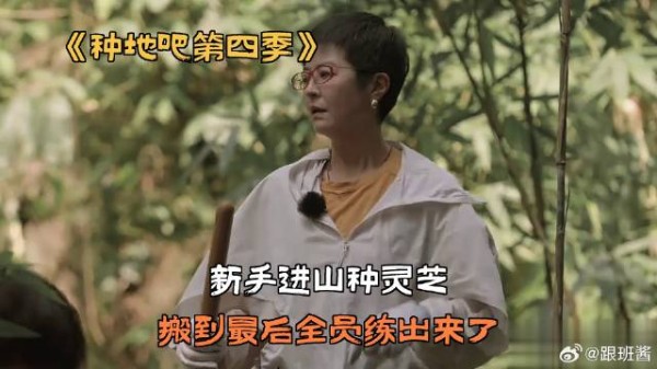 新手进山种灵芝，搬到最后全员练出来了