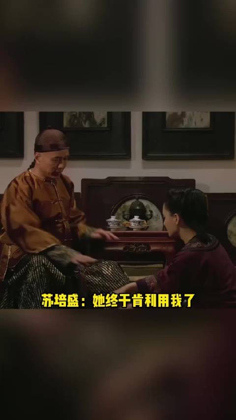 苏培盛：她终于肯利用我了！甄嬛传‖苏培盛‖崔槿汐