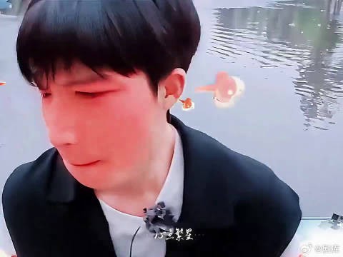 花少团有王星越在,旅途氛围直接变热闹,笑点源源不断