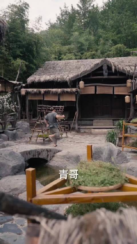 张元听从妻子的毒计出面举报，当众指控张青售卖的药茶含有剧毒，想要将他治罪