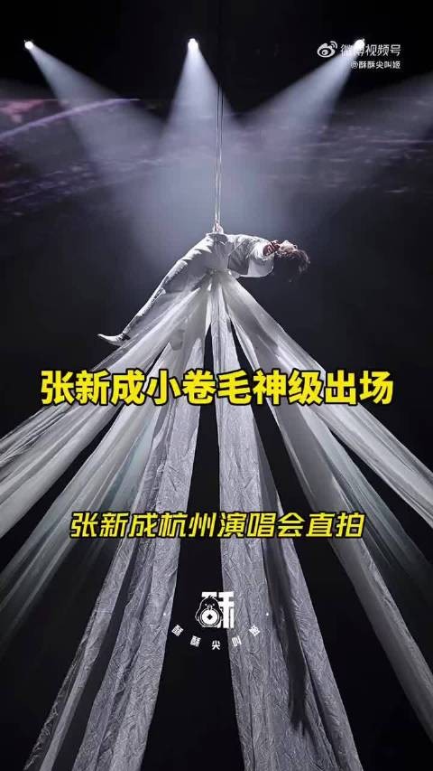 本以为是沉浸式听歌,结果收获唐老鸭限定张新成,演唱会的快乐谁懂啊