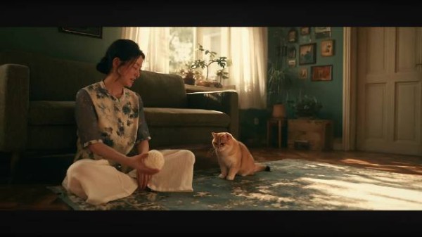 当年最讨厌猫的妈妈如今宠猫如宝，说下辈子还要做我女儿