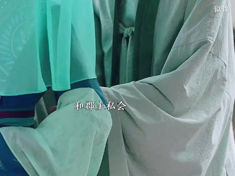 姜似带大姐当场撞破私情，大姐选择和离，前路会是怎样 似锦 景甜 张晚意