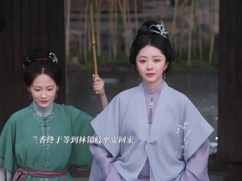 兰香终与林锦岐团圆，相聚倒计时余生孤身