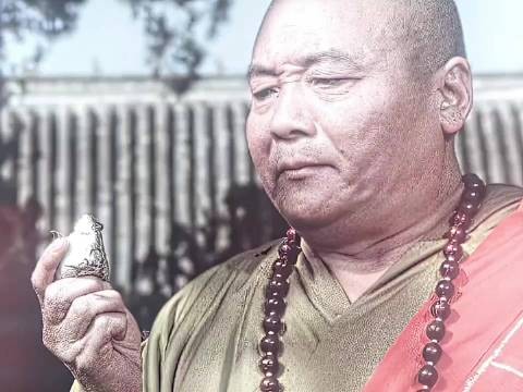 酒肉穿肠过,佛祖心中留