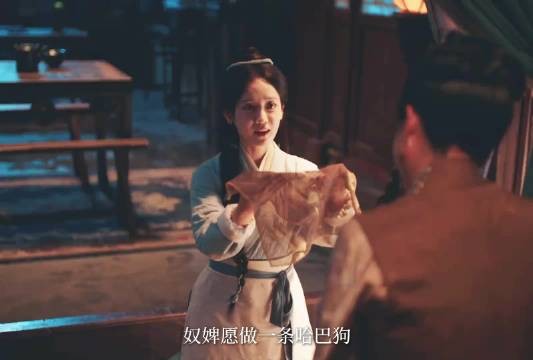 权谋女主有！为复姐仇，忍辱负重，步步为营，欺我辱我绝不罢休！