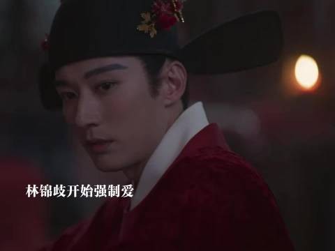 两人大婚林锦歧开始强制爱