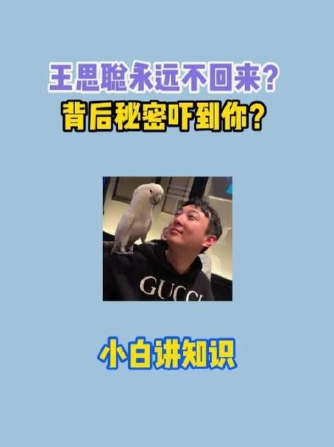 震撼揭晓！王思聪为何始终未归？隐情令人瞠目！